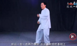 陈氏太极拳24式教学视频,入门必看，掌握经典套路